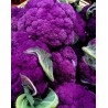 Coliflor Violeta de Sicilia